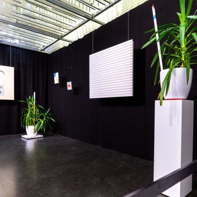 Jana Ehrenberger - Werkschau 